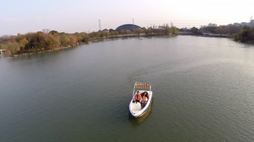 游客头上飞过,也引来围观