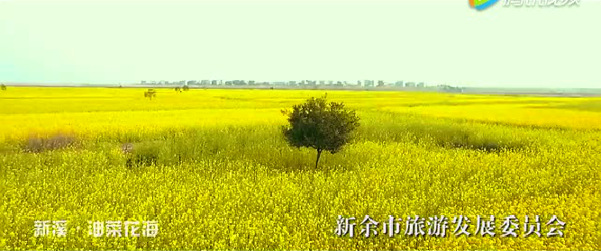 QQ截图20160307191755.png